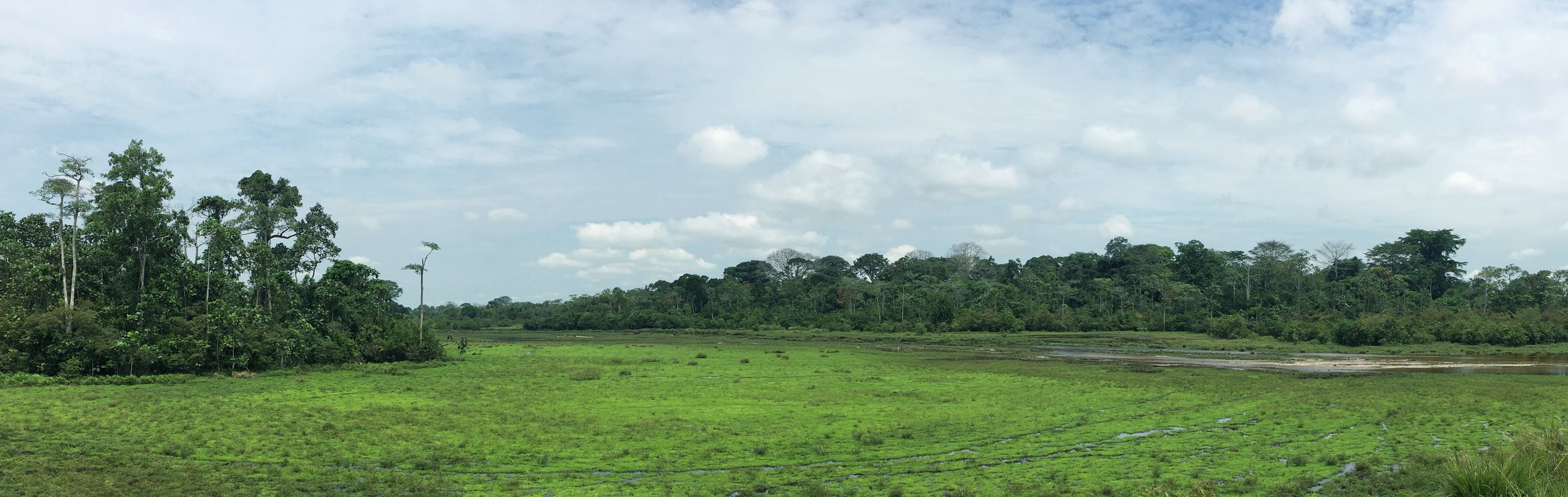 congo header congo header