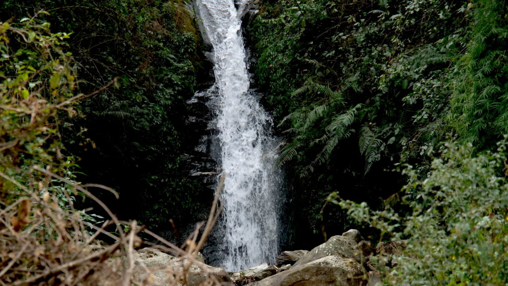 Field Recording nepal himalaya David kamp studiokamp forest river