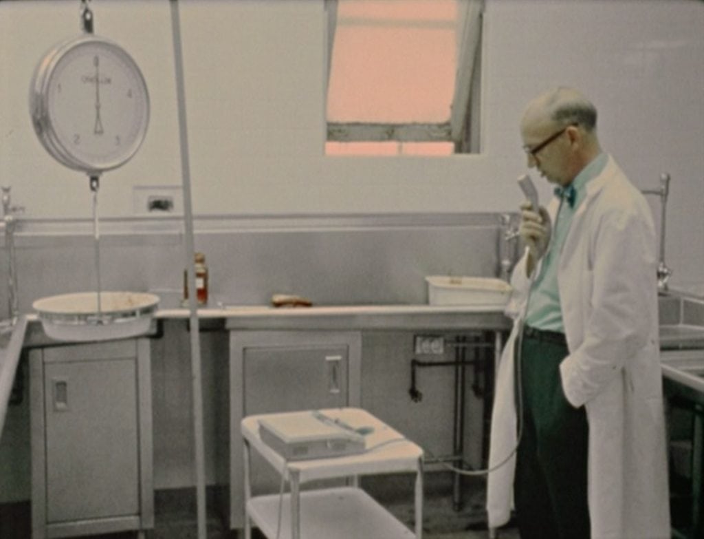 film still