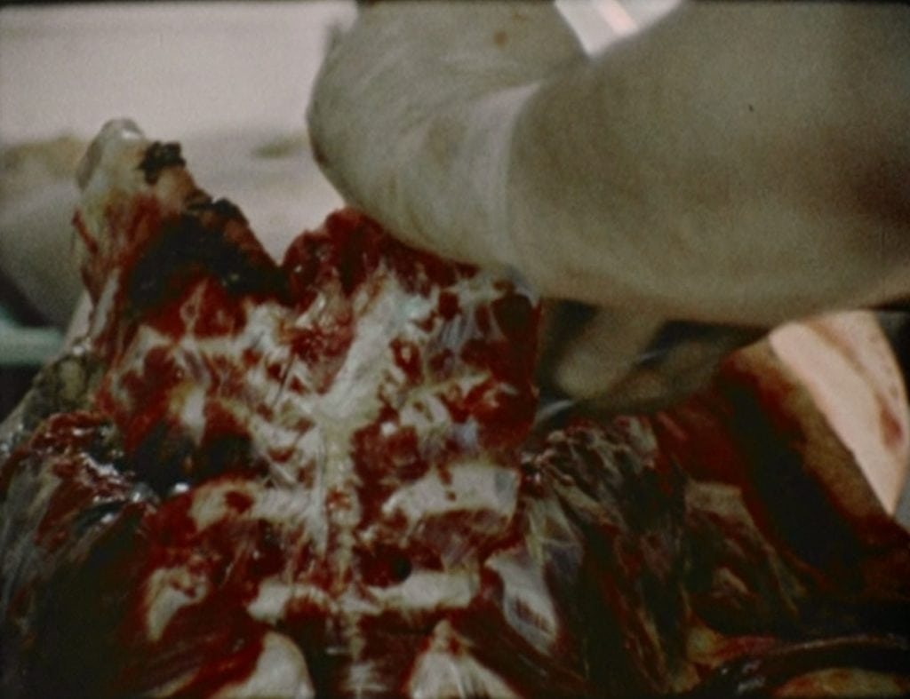 film still