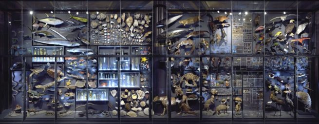 naturkunde museum berlin david kamp studiokamp ar sound birdsong nature sounds keepbig header