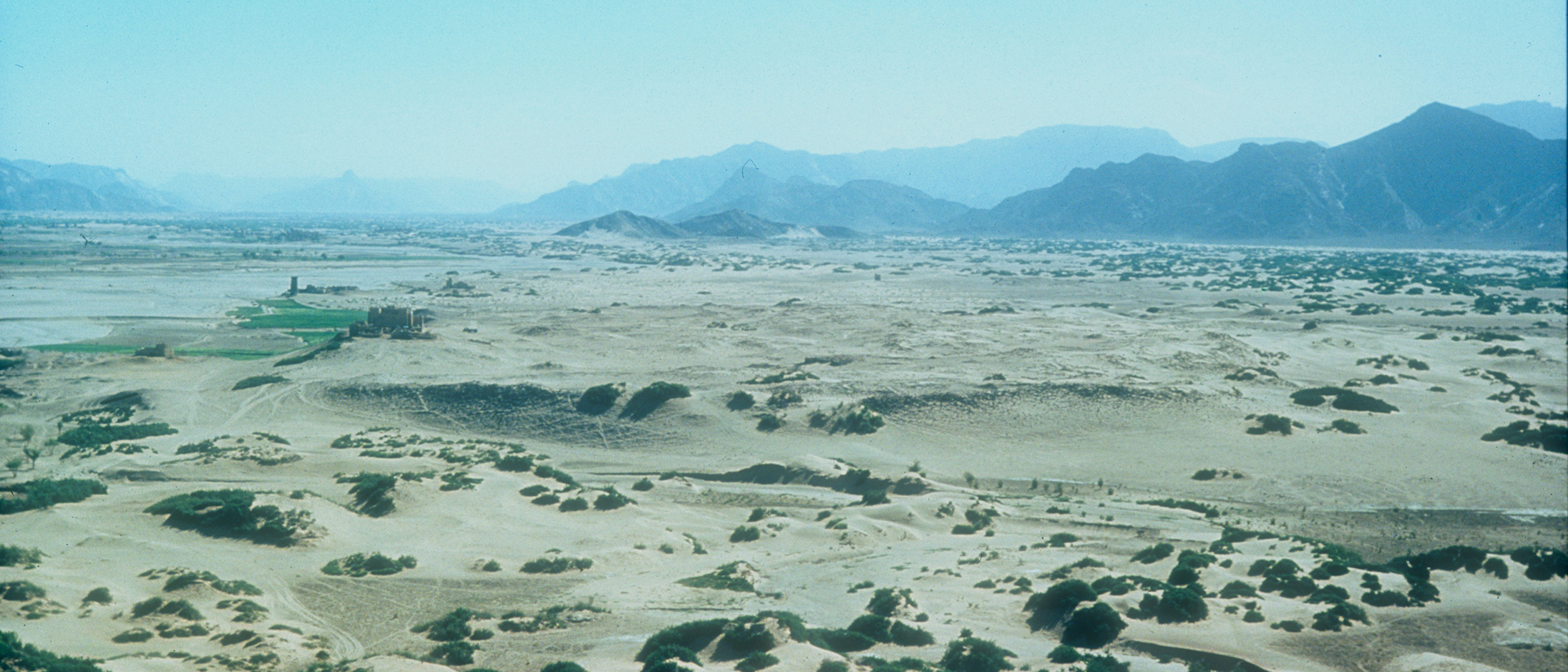 landscapebanner